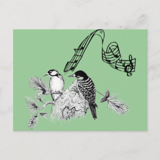 Vintage Birds Postcard