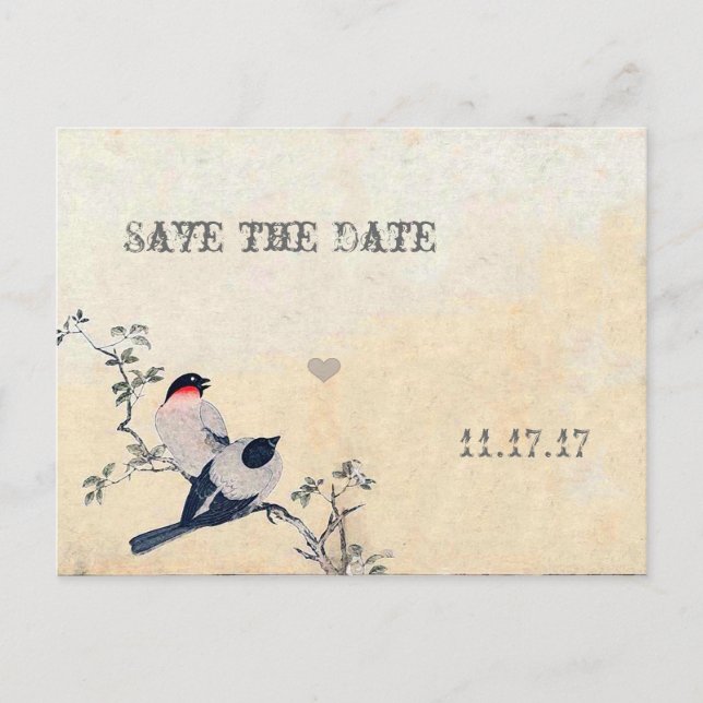 Vintage Birds Save the Date Announcement Postcard (Front)