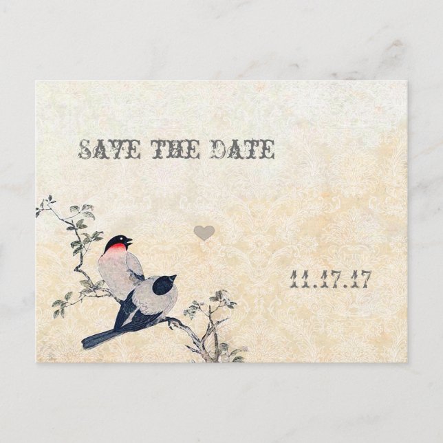 Vintage Birds Save the Date Damask Announcement Postcard (Front)