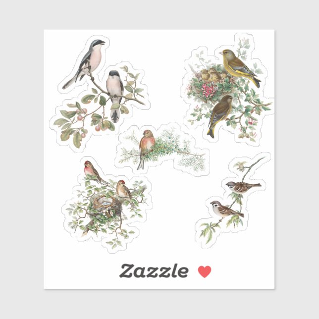 Vintage Birds Sticker (Sheet)