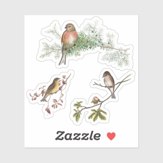 Vintage Birds Sticker (Sheet)