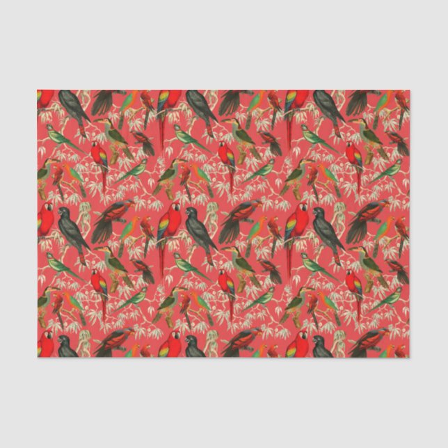 Vintage birds tissue paper (Front)