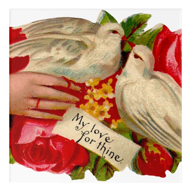 Vintage Birds Victorian Love Dove Classic Art (Front)