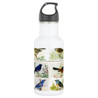 Vintage Birds Water Bottle