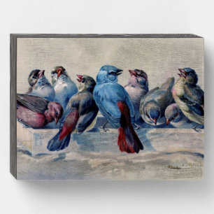 Vintage Birds Wooden Box Sign