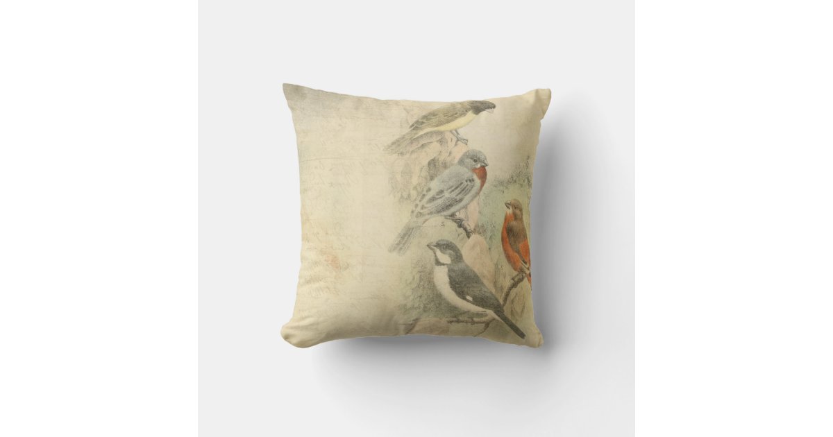 Vintage Birds Worn Design Throw Pillow Zazzle