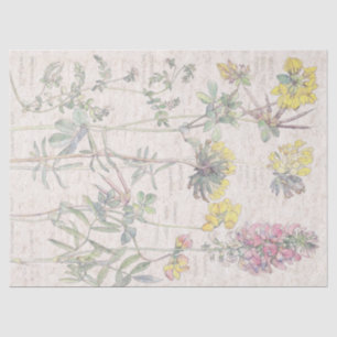 Vintage Birdsfoot Wildflower Flowers Tissue Paper