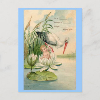 Vintage Birth Announcement-Stork, Lily Pad, Baby Announcement Postcard