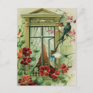 Vintage Birthday Postcard