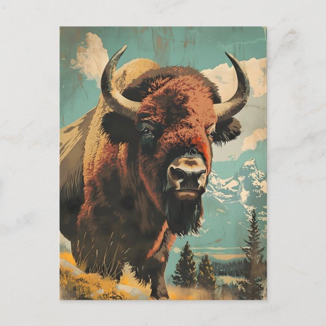 Vintage Bison Illustration Postcard (Front)