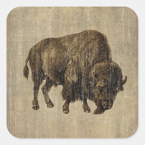 Vintage Bison Square Sticker