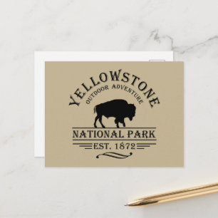 Vintage Bison Yellowstone National Park Holiday Postcard