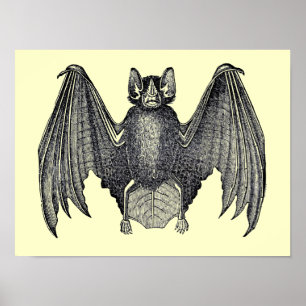 Vintage Black and White Bat Poster