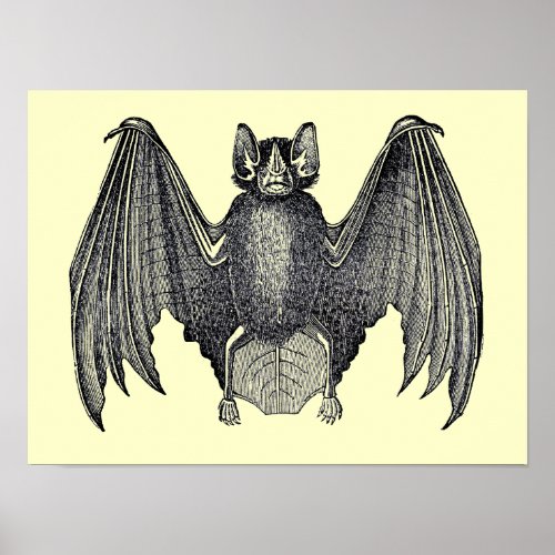 Vintage Black and White Bat Poster