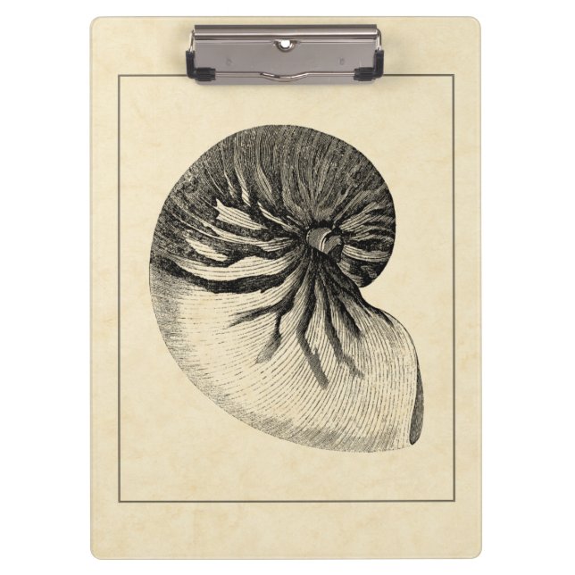 Vintage Black and White Conch Shell Clipboard (Front)