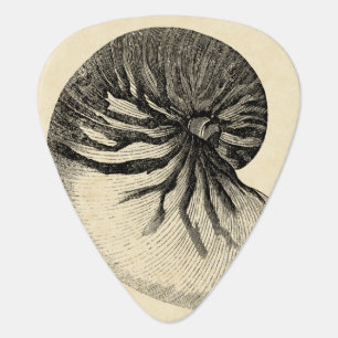 Vintage Black and White Conch Shell Guitar Pick