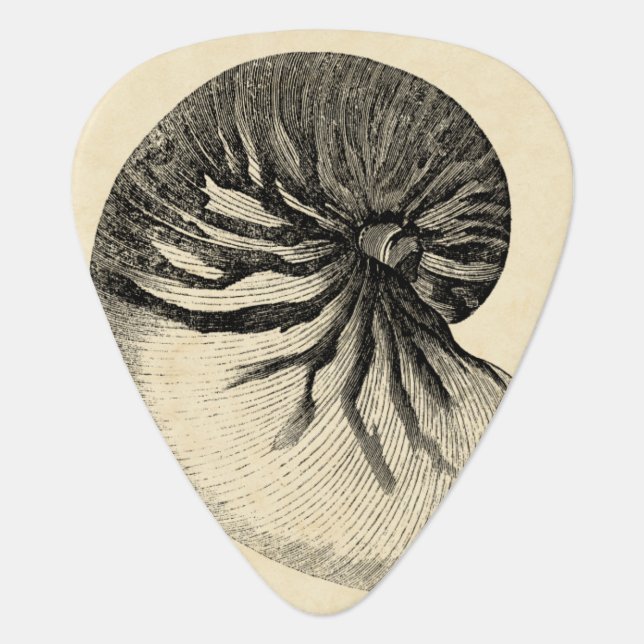 Vintage Black and White Conch Shell Guitar Pick (Front)