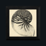Vintage Black and White Conch Shell Keepsake Box<br><div class="desc">Get this unique black and white Conch seashell image on your next product. This amazing,  sepia background with a Black and White Conch will look great on anything. Take the beach with you everywhere you go.</div>