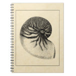 Vintage Black and White Conch Shell Notebook