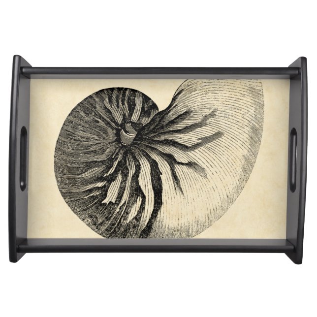 Vintage Black and White Conch Shell Serving Tray (Front)