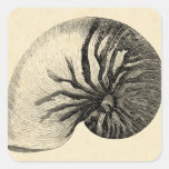 Vintage Black and White Conch Shell Square Sticker