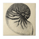 Vintage Black and White Conch Shell Tile<br><div class="desc">Get this unique black and white Conch seashell image on your next product. This amazing,  sepia background with a Black and White Conch will look great on anything. Take the beach with you everywhere you go.</div>