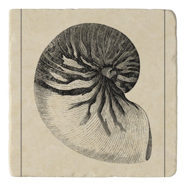 Vintage Black and White Conch Shell Trivet (Front)