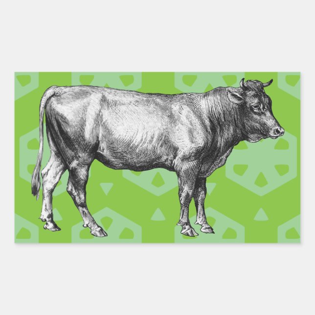 Vintage Black and White Cow Illustration Stickers (Front)