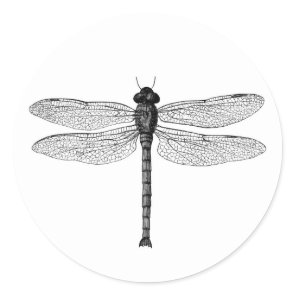 Vintage Black and White Dragonfly Illustration Classic Round Sticker