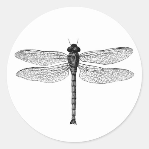 Vintage Black and White Dragonfly Illustration Classic Round Sticker