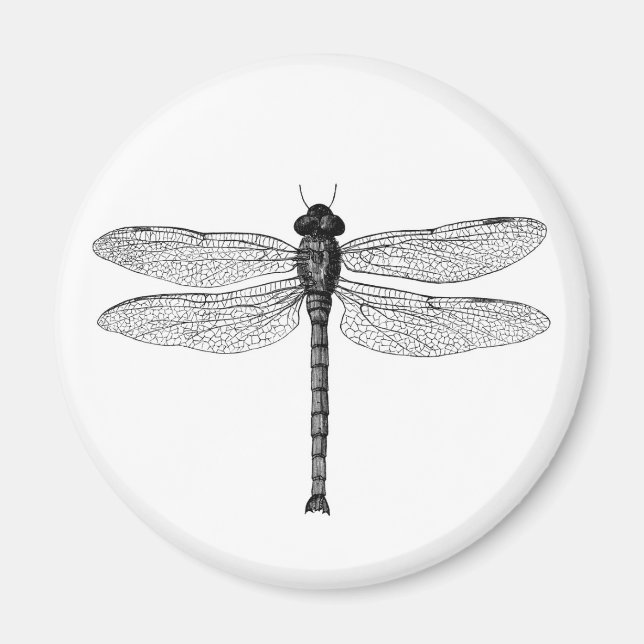 Vintage Black and White Dragonfly Illustration Magnet (Front)