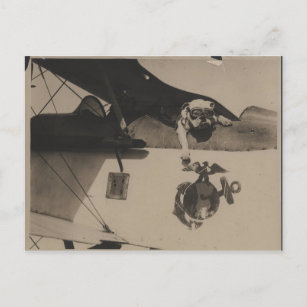 Vintage Black and White Military Bulldog Aviation Postcard