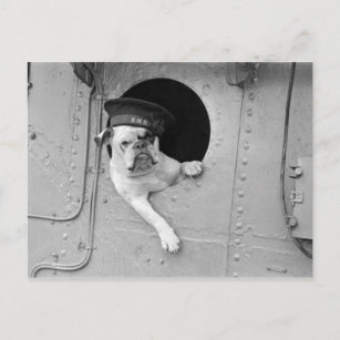 Vintage Black and White Military Bulldog Nautical Postcard