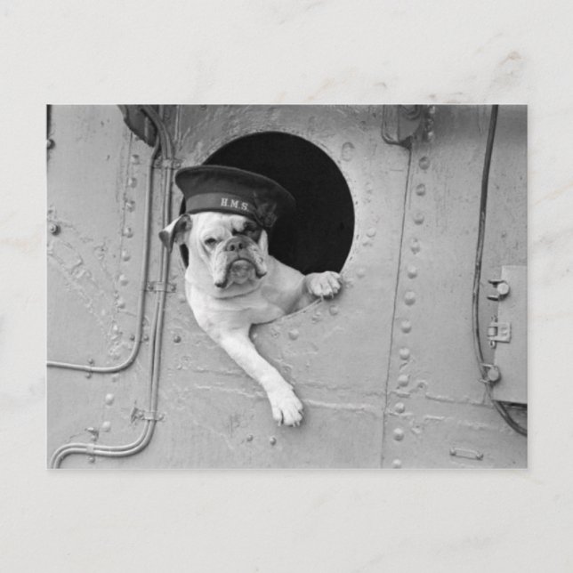 Vintage Black and White Military Bulldog Nautical Postcard (Front)