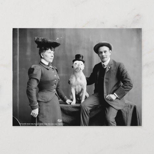 Vintage Black and White Photograph Dog Wearing Hat Postcard