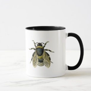 Vintage Black and Yellow Bumble Bee Illustration Mug