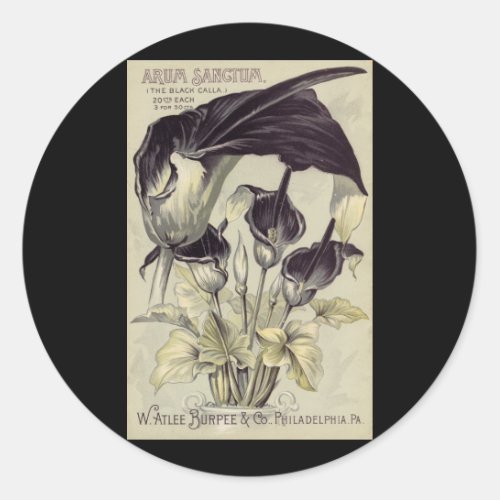 Vintage Black Calla Lilies Classic Round Sticker