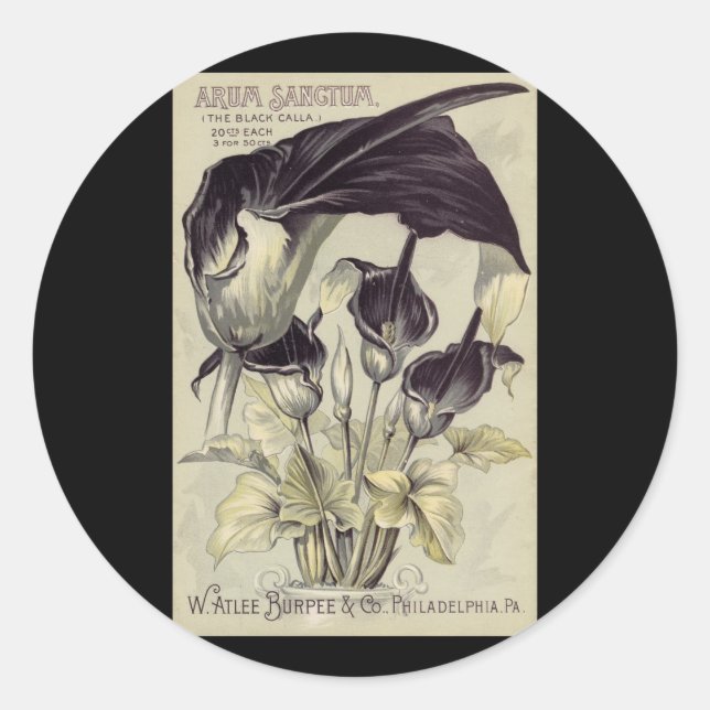 Vintage Black Calla Lilies Classic Round Sticker (Front)