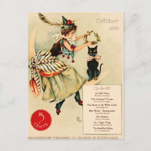 Vintage Black Cat Advertisement Poster Postcard