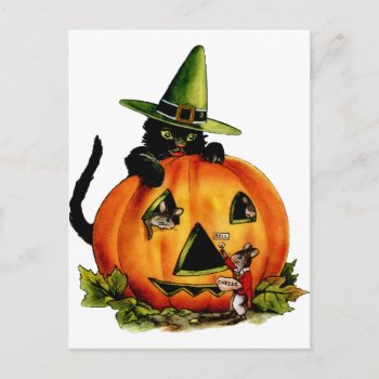 Vintage Black Cat And Pumpkin Postcard by Vintage_Gifts at Zazzle