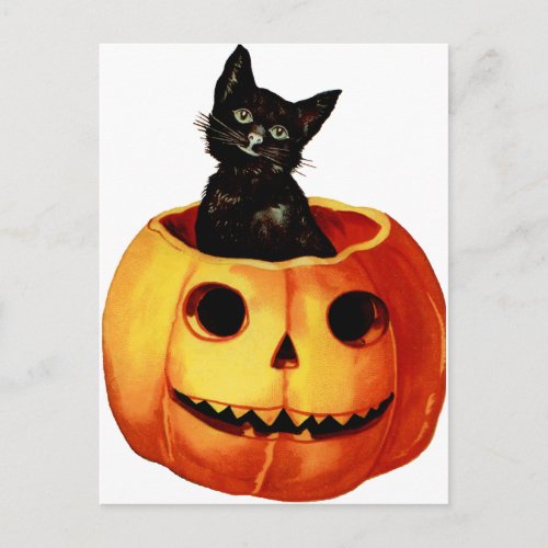 Vintage Black Cat and Pumpkin Postcard