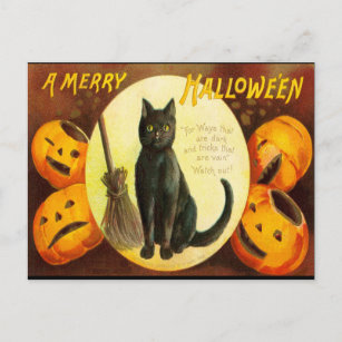 Vintage Black Cat Bloody Text Halloween Party Invi Invitation Postcard