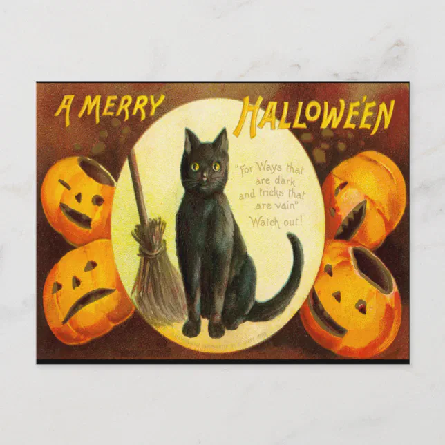 Vintage Black Cat Bloody Text Halloween Party Invi Invitation Postcard ...