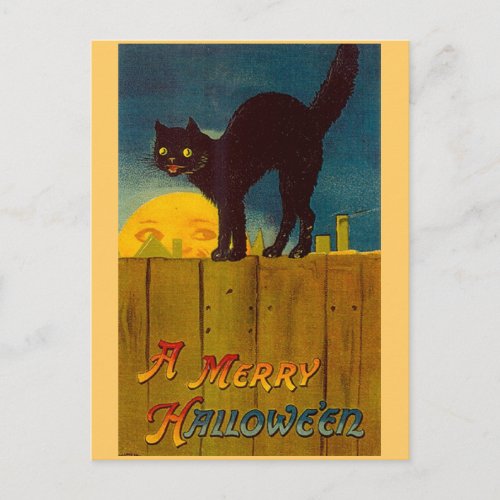 Vintage Black Cat Halloween Postcard