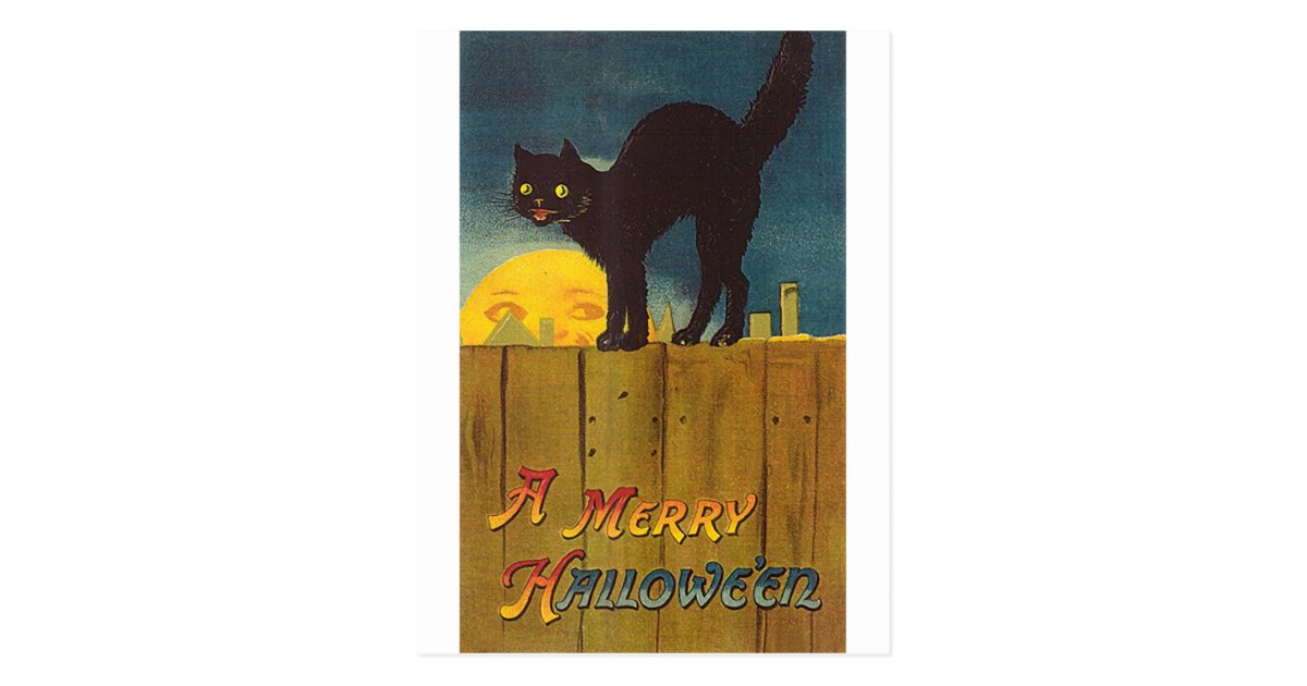 Vintage Black Cat On A Fence Halloween Card Zazzle Com