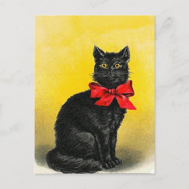 1 Vintage Black Cat Postcard