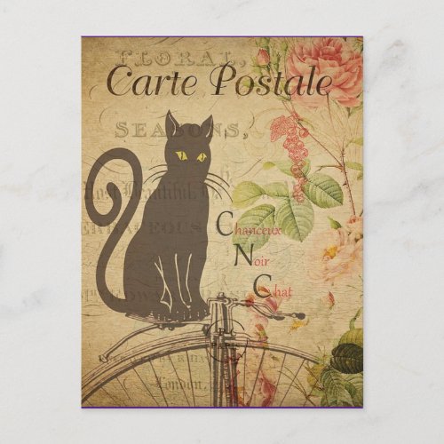 Vintage Black Cat Postcard