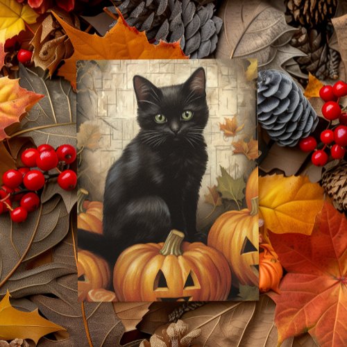 Vintage Black Cat Pumpkin Decoupage  Postcard