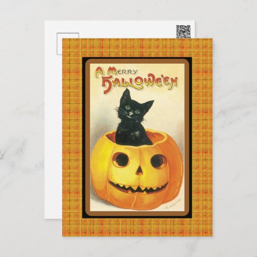 Vintage Black Cat Pumpkin Halloween Postcard