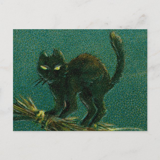 Vintage Black Cat Riding on Broom Halloween Postcard (Front)
